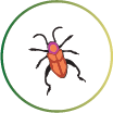 insect icon graphic