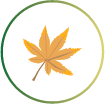 tree leaf icon graphic