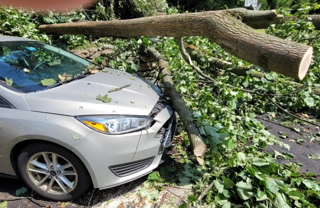 will this car with a fallen tree limb on top of it be covered by your homeowner insurance?