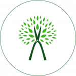 clip-icon Tree Trimming Allentown & Lehigh Valley, Easton Tree Trimming